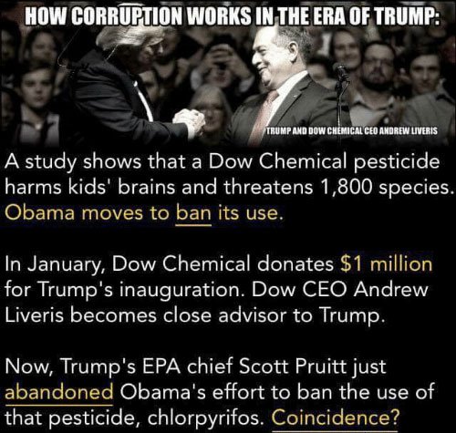 OrganicLiveFood's tweet photo. Its just as swampy as it gets. CEO of @DowChemical, #AndrewLiveris donated $1M to @realDonaldTrump #inaugurationfund so Fat Donnie lifts the ban on #Chlorpyrifos linked2 #autism & lung/prostate #cancer.Congrats everyone!We all got 2die sometime. So eat up https://t.co/7P1empnp1C https://t.co/YHPlOBS959