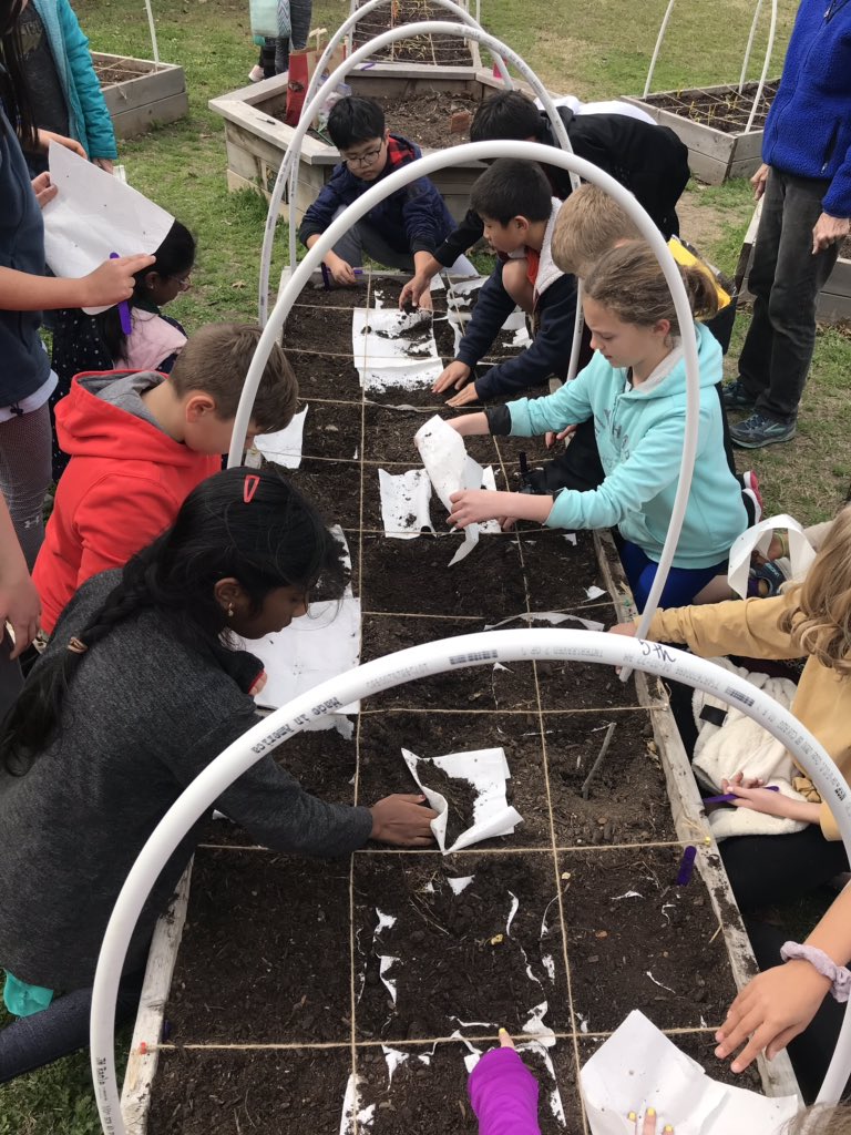 MsSeifertCMSE's tweet photo. 5A planted radishes, spinach, and beets in the @TCEgarden today! Can’t wait to see them grow! #TCETexans #CISDCoverStory #CISDOurStory #bettertogether #tce5th https://t.co/Qs1TzvDUUW