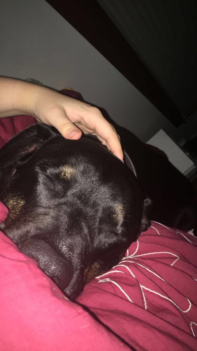 Bmakey_'s tweet photo. Thank you for being my best friend and the best part of my life. 💔rest in peace Kobie💔

Summer 2012-2•12•2019 https://t.co/kHYsFnNRw9