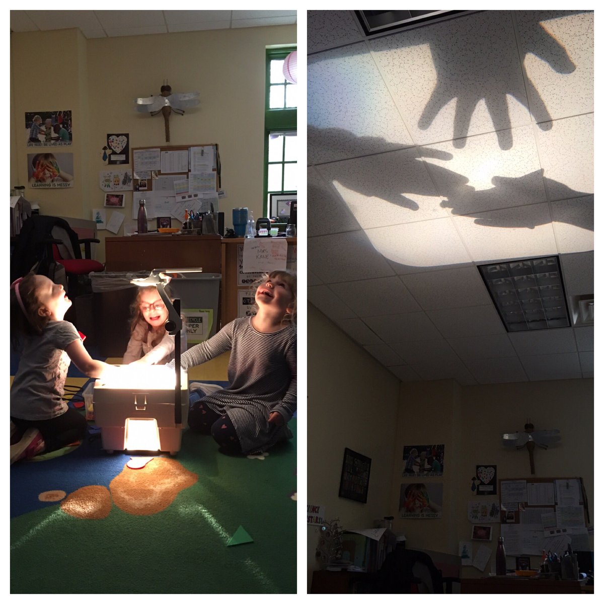 TrinityBears's tweet image. The delight of discovery. EL shadow fun!