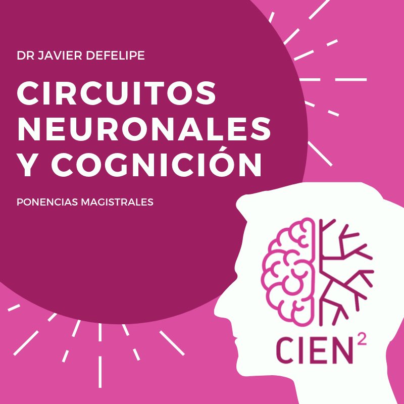 cien2_neuro's tweet photo. Javier DeFelipe - Ponencia Magistral / Keynote Lecture. #CIEN2 #ciencia #Neurociencia #congreso @AlumniUdL @medicinalleida @ConsellUdL @IRBLleida_Info @IFMSASpain @seneurologia  @seneurofisio @CEMCAT @_CEEM @AECScatalonia @AECSLleida @javier_defelipe https://t.co/JR0SXer1bx