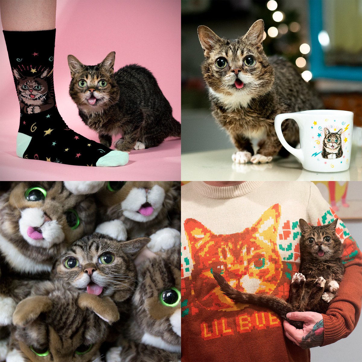 Lil BUB's Mighty Clearance Sale ends 