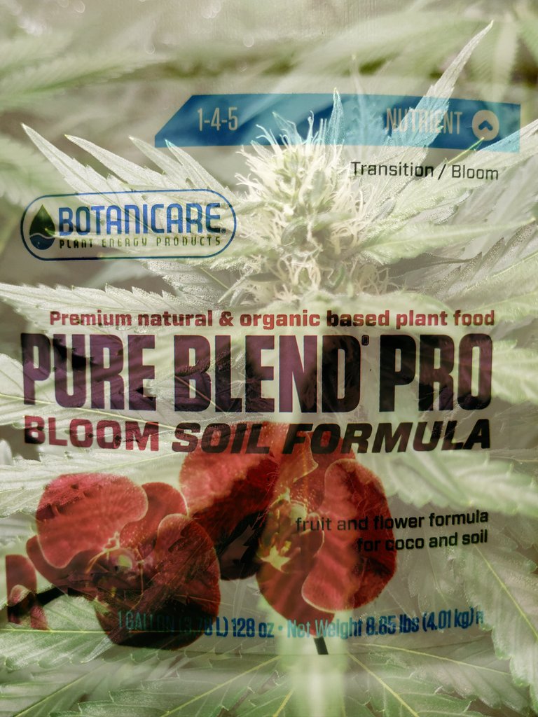 Green Test tweet media