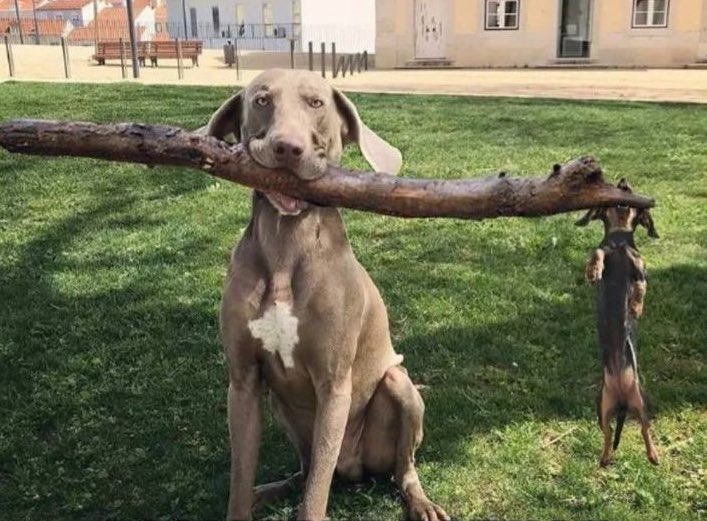 jaguarjin's tweet photo. #ThingsNotToAskFor
The branch manager and his assistant... https://t.co/z96HvjAkj7