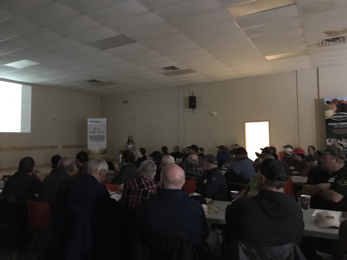 Excited to hear Chloe Long from @MasterfeedsCDN talk on supplementing beef cows through their gestation period at the Huron Bay cow calf meeting.