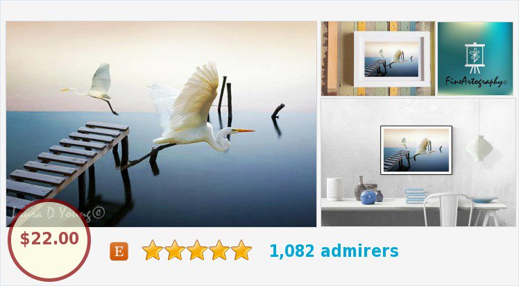 Great White Herons by FineArtography on Etsy. #etsy #epiconetsy #herons #birds #ocean #photography #handmade #wildlife #WallArt #Etsymntt #EtsyGifts #EtsyShop ##Etsyspecialt #Birdphotography #Shorebirds #GiftIdeas #CottageArt etsy.com/FineArtography…