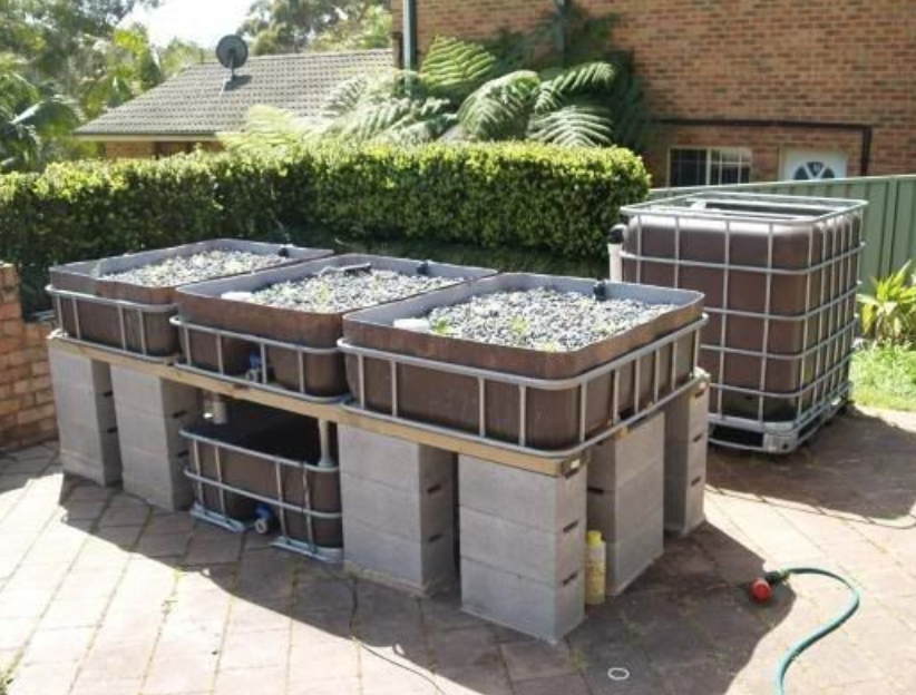 Crowdfunding_PR's tweet photo. Off Grid Living: How to Build an IBC Tote Aquaponic Garden and Fish Farm
See more Aquaponic Garden photos:
https://t.co/mY3x7Vdw7q
#OffGridLiving #LivingOffGrid #Aquaponics #Fish #Garden #Greenhouse #Shrimp #Tilapia #Catfish #IBCTotes #PVC #Pipes #SumpPump #GrowBeds #FishTank https://t.co/DgOfoXsBfz