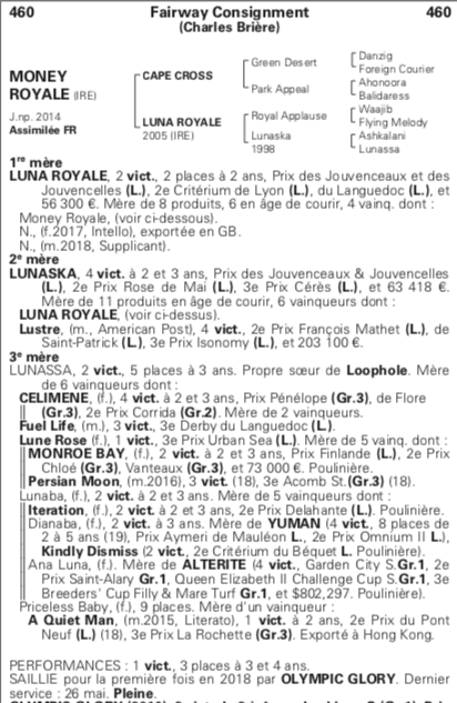 VENTE MIXTE DE FEVRIER ARQANA - JOUR 2 ✨

📍 LOT 460 - MONEY ROYALE (Cape Cross), J.np. 2014
Pleine d'OLYMPIC GLORY
26.000€

Vendeur : Fairway Consignment
Acheteur : Paul Nataf

Money Royale est la fille de Luna Royale gagnante de Listed à 2 ans.