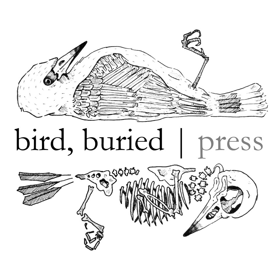 Join us at Artspace on Wednesday, February 20th at 7pm for In Conversation with bird, buried press. Artspace is pleased to welcome Elisha May Rubacha and Justin Million for a talk on writing, publishing and operating bird, buried press. This event is free and all are welcome.