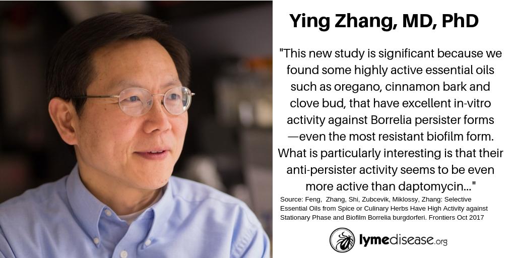 Lymenews's tweet image. Might essential oils cure Lyme disease? A tantalizing premise. buff.ly/2A1U1nk