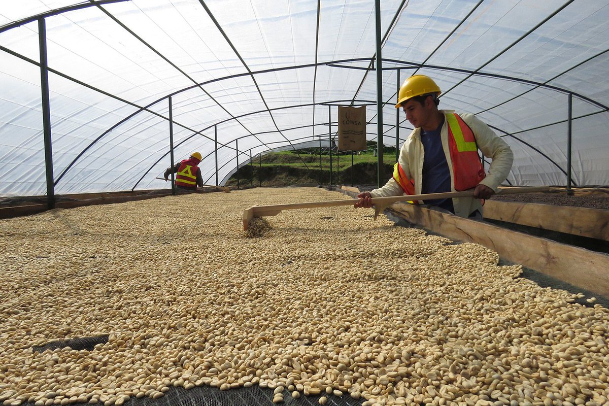 "Coffee is such a labor-intensive crop," said Mark Stiles, owner of <a href="/blackdropcoffee/">coming soon</a> . "We're looking for a way to get more money back to the people who are putting in incredibly intensive work."
ow.ly/5HGa30nA10L