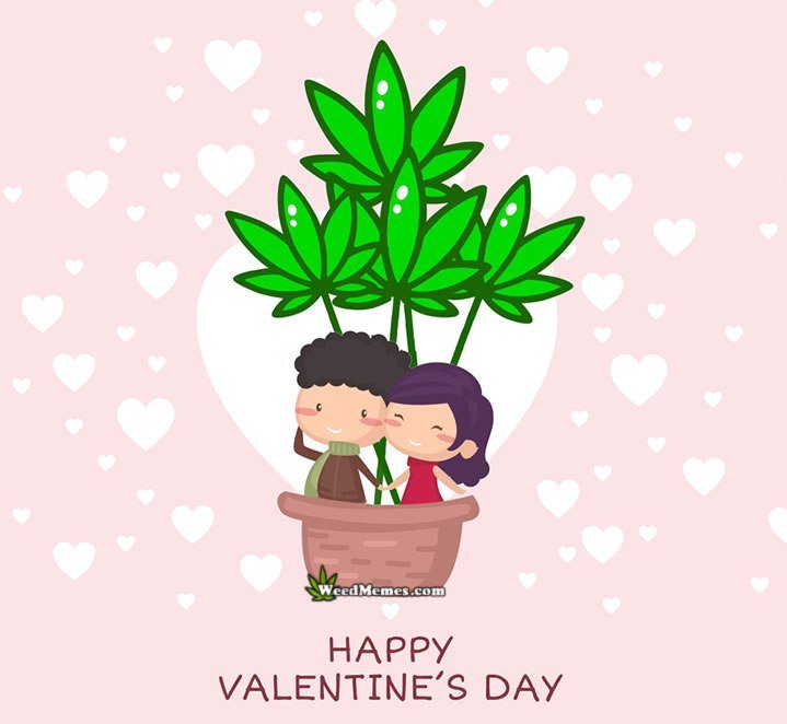 COBudFarm's tweet photo. Valentine’s Day at The Bud Farm https://t.co/5TyYGEMzHB https://t.co/C4BfkClmHr