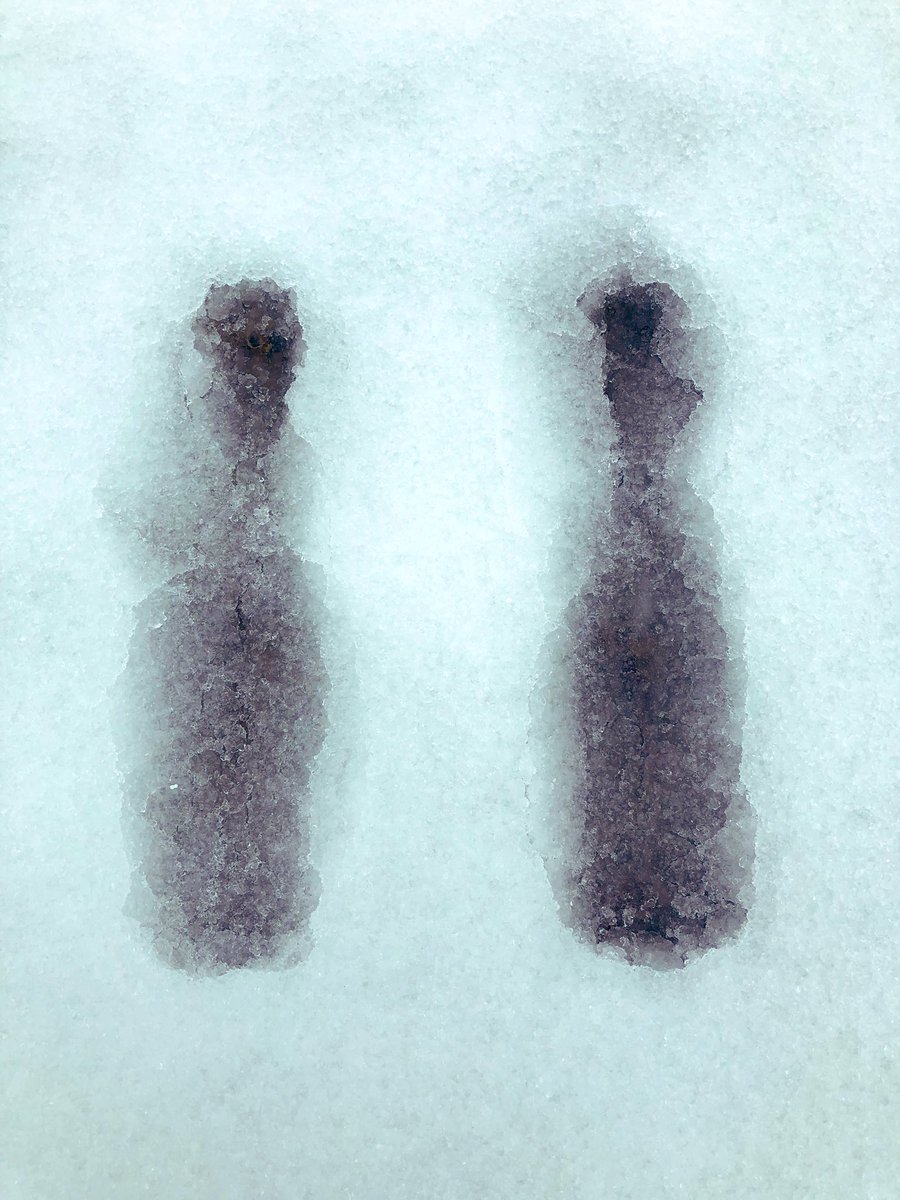 Snow + Champagne = Good Times.  When that Champagne is from Guillaume Selosse it becomes a great time.  Wonderful bottles of 2012/2013 Largillier Pinot Noir and 2008/2009 bottle of Au-dessus du Gros Mont Chardonnay.  

#Selosse #GuillaumeSelosse #Cramant #VillesurArce #Largillier