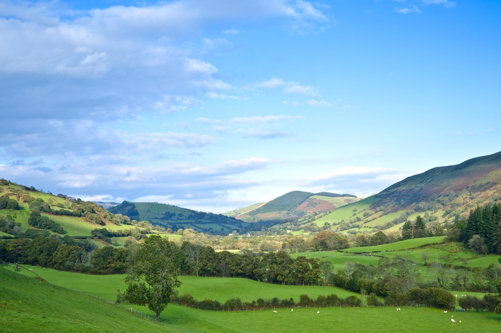 Following the judgement handed down in court today (Wednesday 13th February) the Tyrwhitt-Drake family asked the Countryside Alliance to share this statement on their behalf ➡️ bit.ly/2RY9meM
