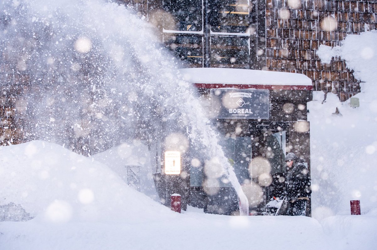 borealmtn's tweet photo. 6” of fresh #BorealMagic delivered last night &amp; it’s only just beginning! • We’re expecting snow through Sunday • #PowderTown keeps getting better &amp; better! • Buy your lift tickets online &amp; save up to 60% • #SkiCalifornia • #PlayForever • #RideBoreal https://t.co/hbobTPZxme