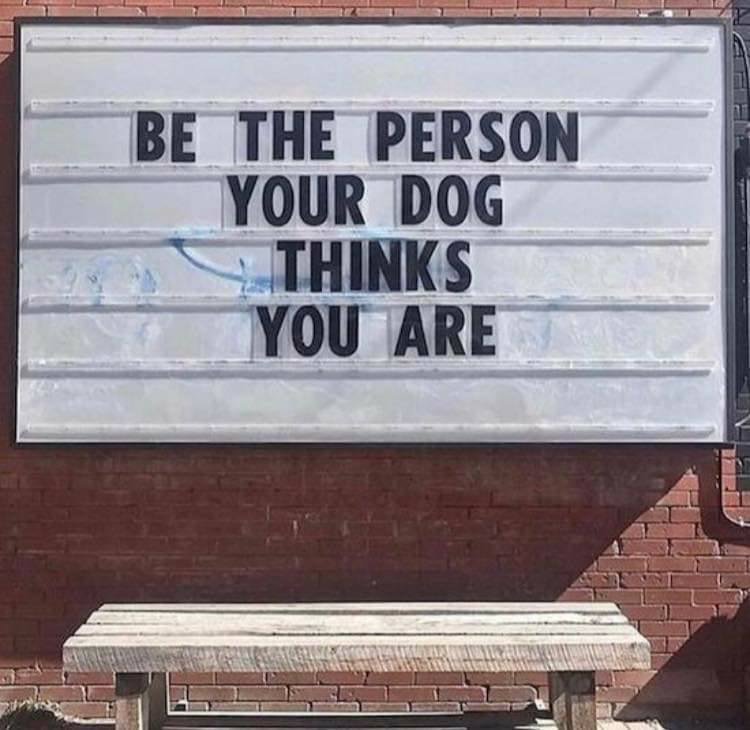 bestforstreet's tweet photo. #MyStreetInspiration 
Source: Pinterest https://t.co/qB6ayHLx9W