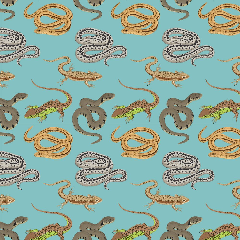 TribeOfSparrows's tweet photo. Some new #pattern designs! Thinking about printing these onto some notebooks to sell! #etsy #etsysellers https://t.co/LG8kVIlhRu