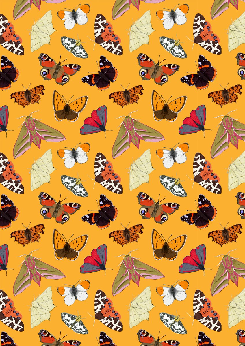 TribeOfSparrows's tweet photo. Some new #pattern designs! Thinking about printing these onto some notebooks to sell! #etsy #etsysellers https://t.co/LG8kVIlhRu