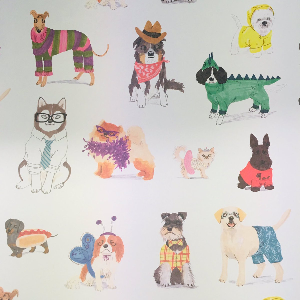 shellgrotto's tweet photo. We reckon even mediocre presents could be redeemed with this #GreatWrap! Who doesn’t like #CatsinHats or #DoggyDressUp (just be careful with that one!) We are thrilled to now stock @joclarkdesign https://t.co/xgD56Q9CgV