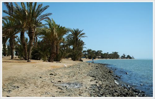 • يمكنك الاستمتاع بجولة سيرًا على الأقدام في كورنيش الدقم الذي يعتبر من اهم معالم السياحة في املج فهو من متنزهات المدينة التي تتمتع بمساحاته الخضراء، وجلساته المطلة على الساحل.