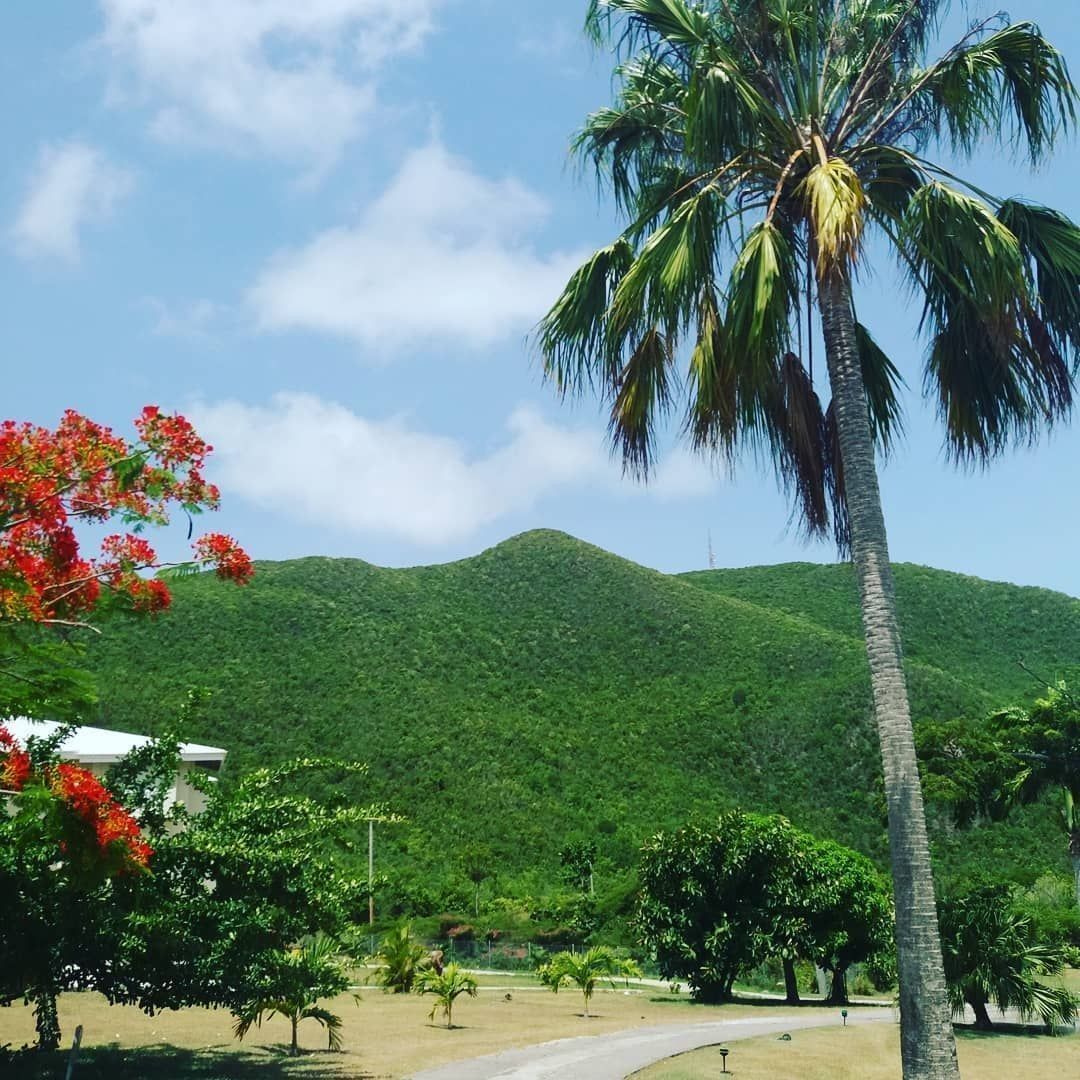 BookNevis's tweet photo. π³ Lush green mountains stand proud in the center of the island
π΄Nevis is so nice
πΈ @MontpelierNevis
#montpeliernevis #flamboyanttree #caribbeanexperience #lovecaribbean #hikes #caribbeangetaway #nevis #caribbeanvacation #caribbeantravel #caribbeanisland #luxuryworld https://t.co/GBgVc5p56n