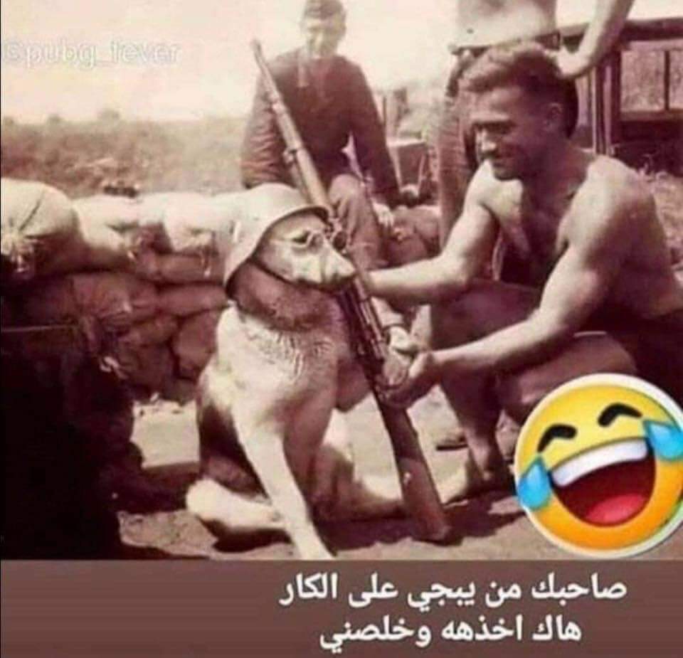 Muhaysin's tweet image. #تعليق_ببجي