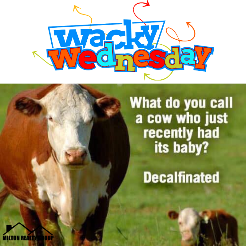 MiltonRealtyLLC's tweet photo. Wacky Wednesday humor!
.
.
#miltonrealtygroup #PropertyManagement #rentals #rentalproperty #fullservicepropertymanagement #harnettcounty #surroundingwakecounties #homesforrent #wackywednesday #HumpDay https://t.co/nBbUKiwmd9