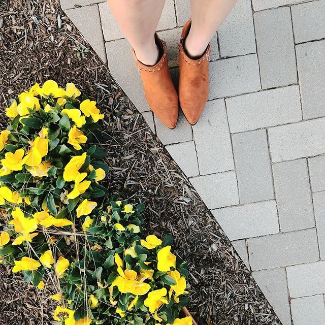 JamiGando's tweet photo. Simplistic beauty ~ 🌼 https://t.co/U069PZtOxg https://t.co/D86shI5f5m
