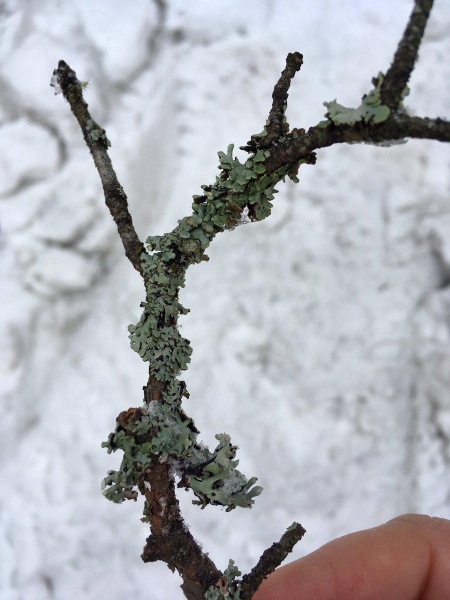 sabinelittle's tweet photo. Walking as an ethnographic experience #ethnotwist https://t.co/Gmu1aRZqZa
