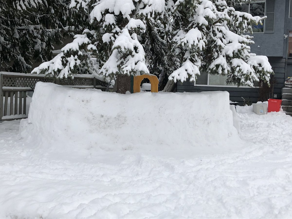 randych2112's tweet photo. It’s a Canadian wall. Built for free. With cooperation of 5 seven year olds. That’s how we roll. #SecureTheBorder #canadianwall #BCSnowstorm #forfree #NoBorderWall https://t.co/zPTUi9DO9I