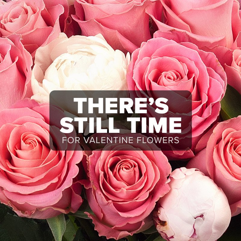 NortonsFlorist's tweet photo. There's still time for Valentine's flowers! Shop our selection: https://t.co/Chf0Eocsbu! 🌹💕🌸 https://t.co/N8iE7bycDS