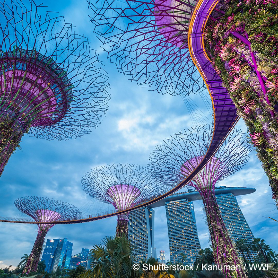 <a href="/WWF/">WWF</a> has launched its One Planet City Challenge yesterday! Over 400 cities have already taken part in the past years. Were you part of the ones developing best practice strategies and showing your most impactful actions? No? Then it’s time to do so:  bit.ly/2CVDepJ