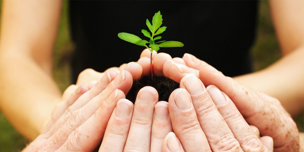 ECTTelecoms's tweet image. ECT’s Implementation Of Agile Methodology Facilitates Software Development And Cooperation With Providers. 

Learn more: bit.ly/2SJDrmL

#AgileTransformation #JointDevelopment #softwaredevelopment #AgileMethodology #ideasintoaction