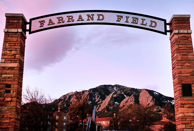 Forever Buffs 🦬 tweet media