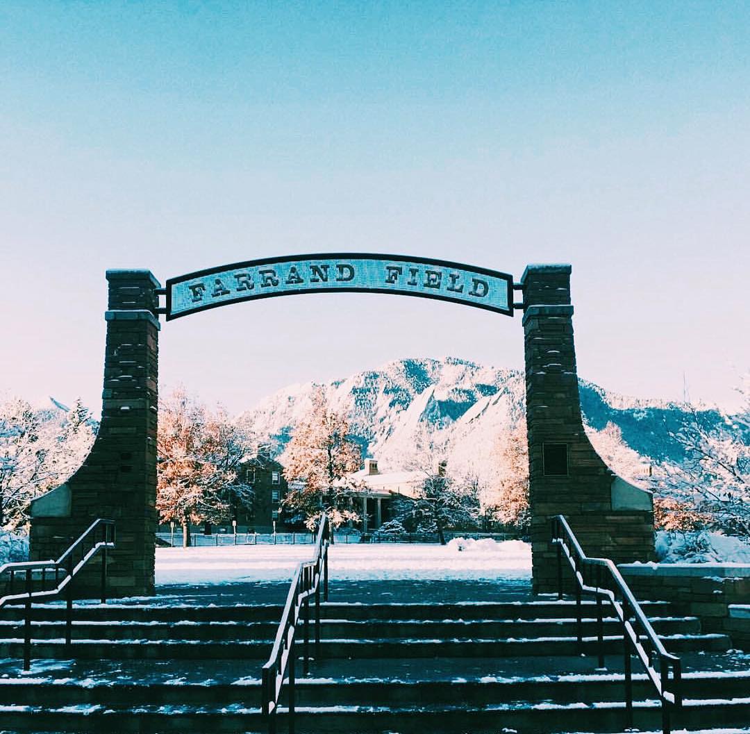 Forever Buffs 🦬 tweet media