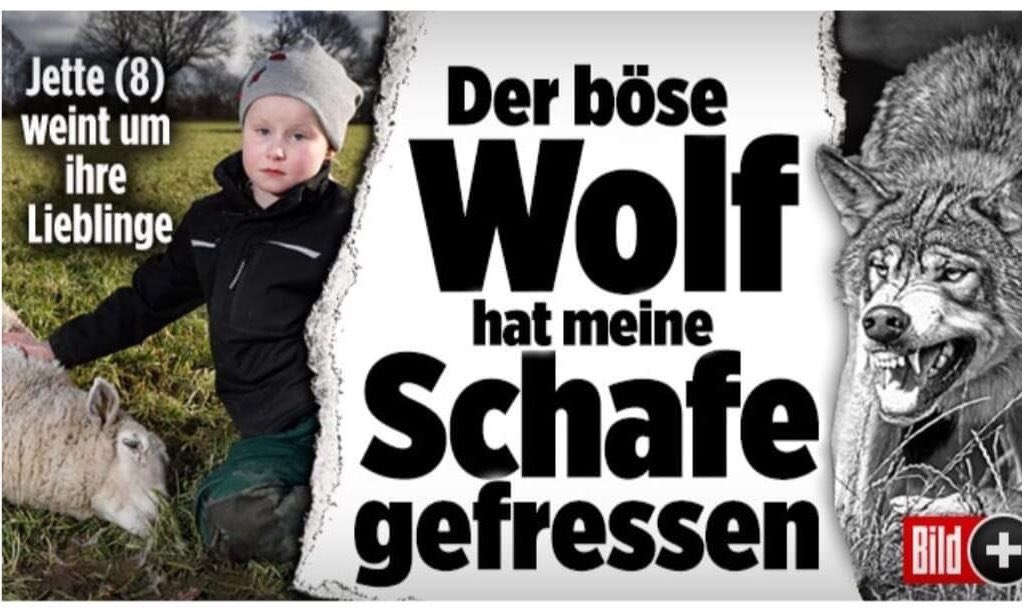 Christian Reinboth tweet media