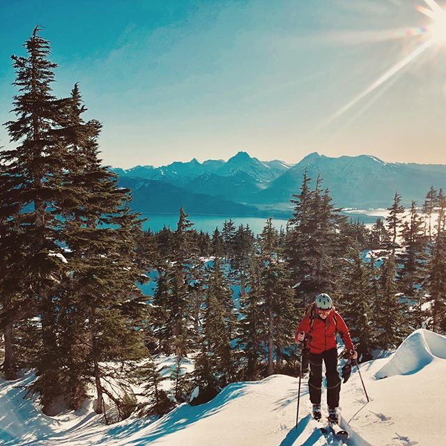 WesternLens's tweet image. More snow in the forecast. Looking forward to more days like this... bit.ly/2SQOsmb