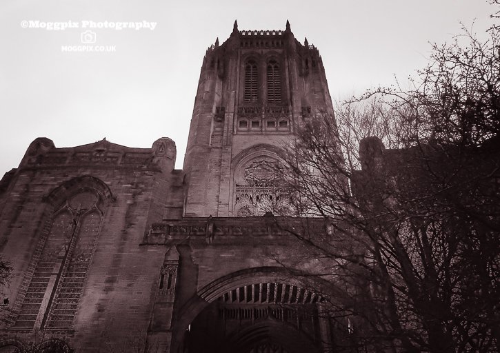 Liverpool Cathedral

#Contrast #LiverpoolCathedral #Moggpix