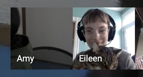 InfiniteAmmoDev's tweet image. From today's #ProjectPotato meeting... tried to capture the dual cat action, but one ran away.