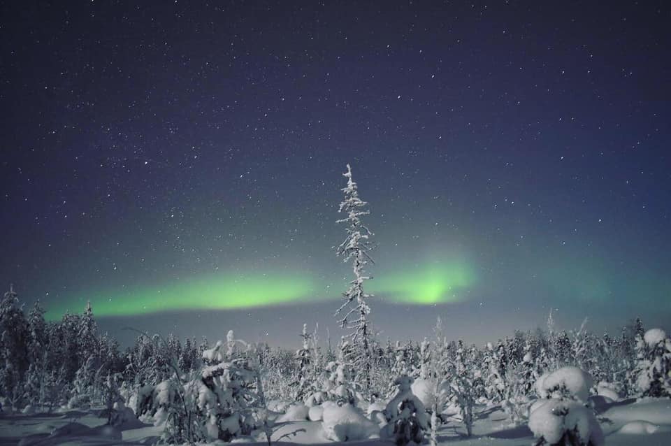 Yesterday it was yet another successful night and very happy customers 🤩 let us show you the best places to spot the magic show of northern lights 💚🌲✨🌌💙