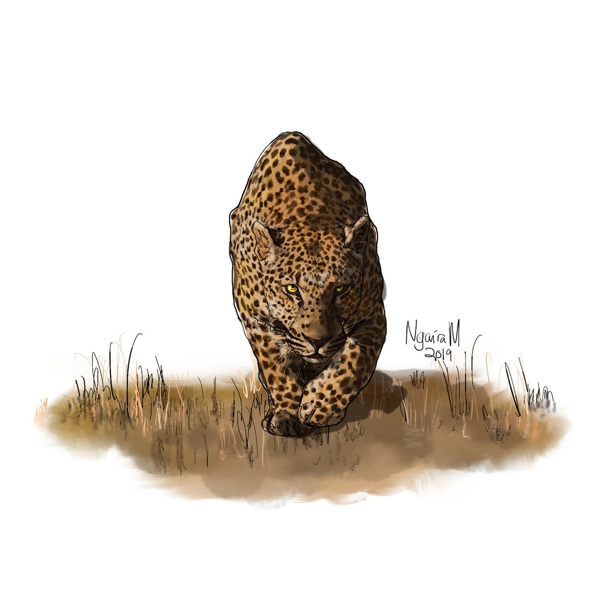 NgairaM's tweet image. The Big 5: Leopard

#NgairaM #thebig5 #leopard #illustration #art