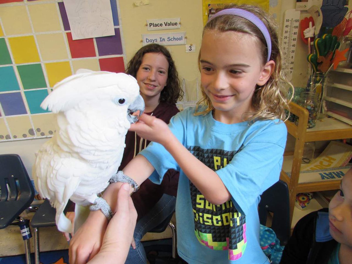 Countdown to PJA Summer Discovery! We're 144 days away from unforgettable fun, discovery, learning, and exploring together! Learn more at buff.ly/2WY4CcB 🔍