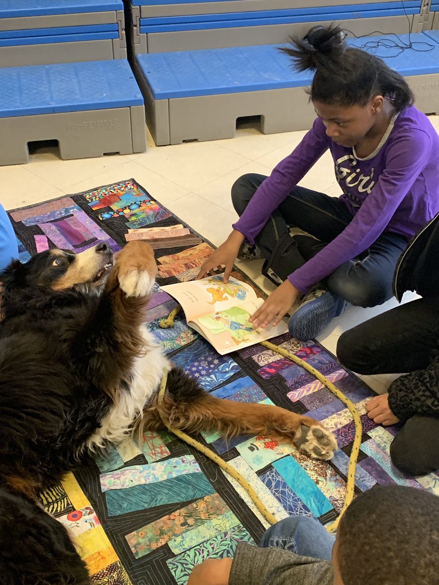 caitlin_tisch's tweet photo. ❤️loving reading with our pet partners ❤️@OakPark97 @BeyeTheWay #aintnostoppingusnow #dayBeyeday https://t.co/CjHaU2KG0u