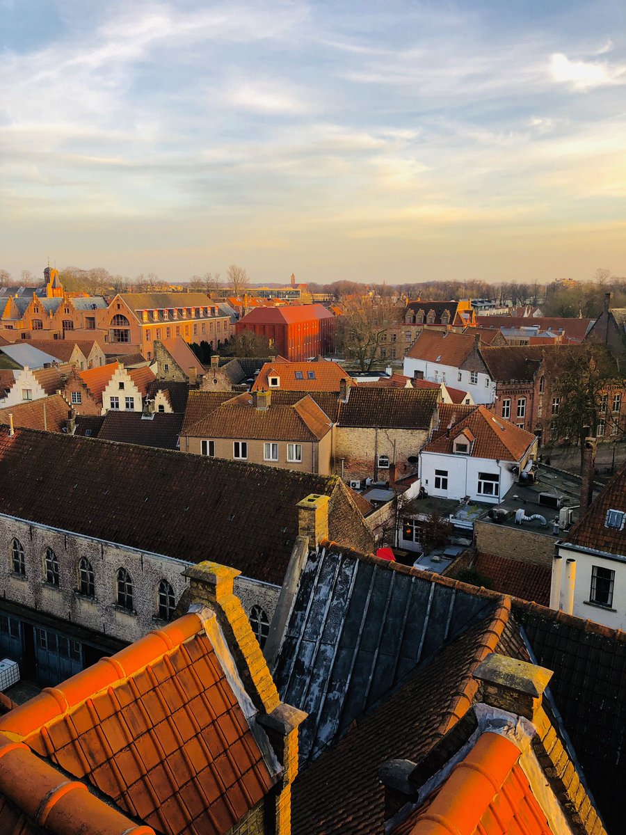 Eva Ferry tweet media