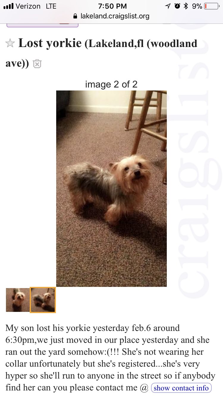 craigslist lakeland florida pets for sale by owner