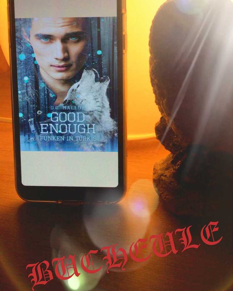 BlogderB's tweet image. Neue #rezension online.
Mehr erfahrt ihr wie immer auf unserer #fb und #instagram Seite.
#goodenough 
#dcmalloy 
#wolf
#funkenintürkis 
#fantasy
#rezensionsexemplar 
#buchblog