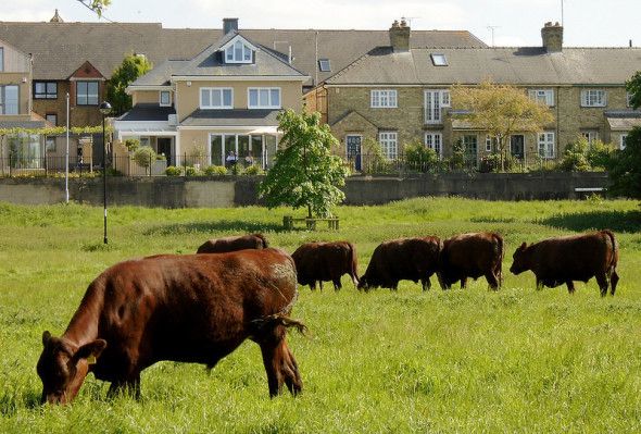 As privacy becomes a commodity that only the wealthy can afford, will capitalism will protect the power and stature of the wealthy by targeting those who dare to challenge the status quo? o.jnu.io/2UQj0BN <a href="/rezendi/">Jon Evans</a> in <a href="/TechCrunch/">TechCrunch</a>