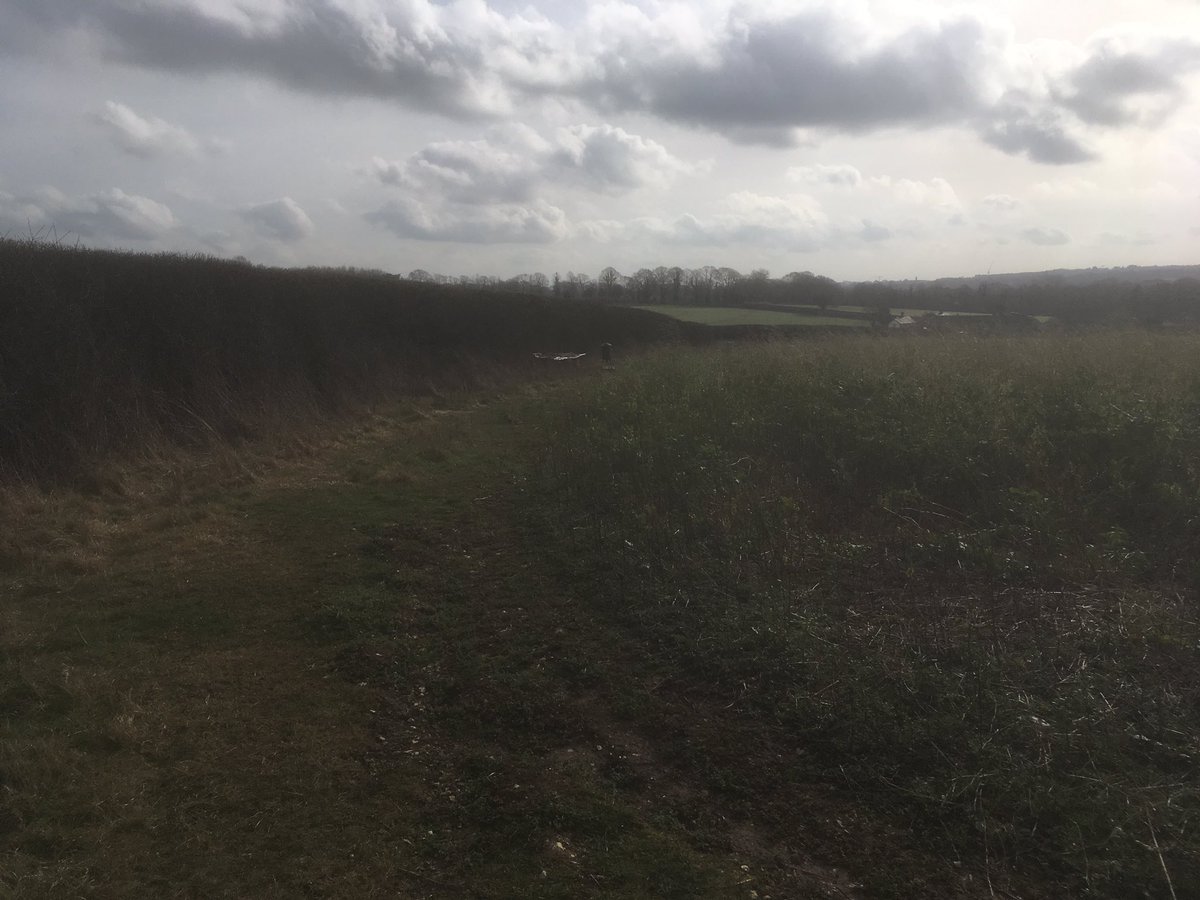 Great day to be out counting farmland birds with <a href="/Sparsholt_Coll/">Sparsholt College</a> Gamekeeping students as part of the #bfbc