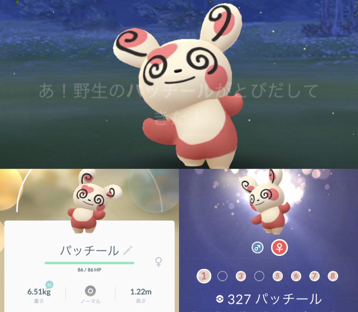 バレンタイン ポケモン タスク go