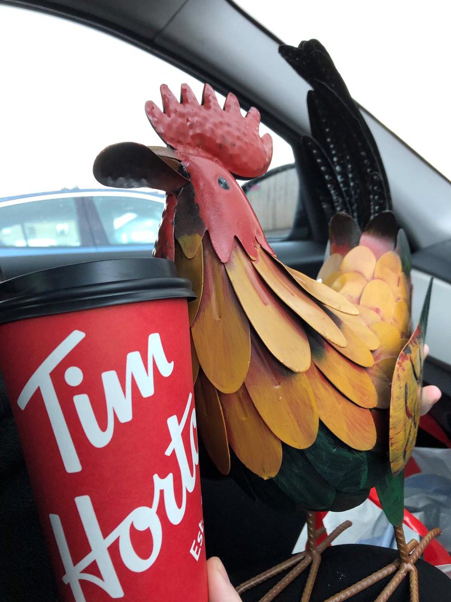 Hello again from Kev's Chicken. 
We had a day out at the football stadium today (big shout out to Tom Steele .....remember him 🤔👍⚽️) without the giraffe; he's a bit tall to fit through the turnstiles 😯  then they popped along to Tim Horton's for a coffee and donut 👍